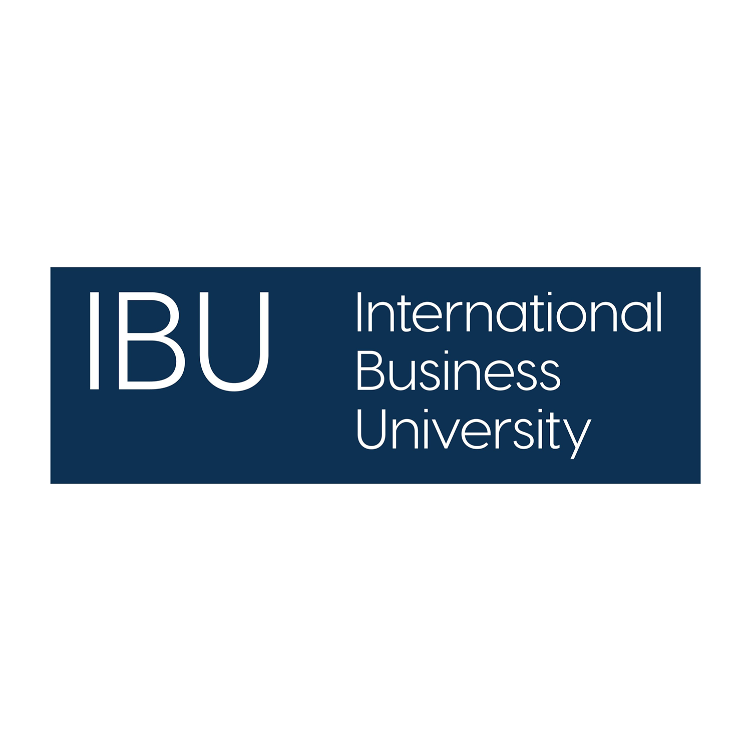 Logo 13